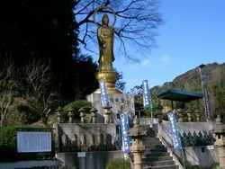 菅原天神梅の木さん