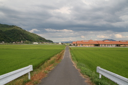 大社　遥堪地区の田園風景②
