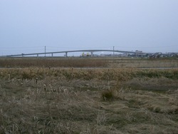 中海大橋