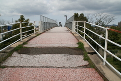 浜乃木７丁目の風景①