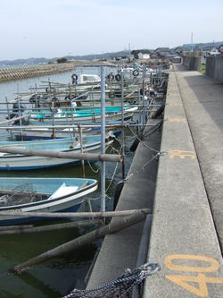 白鳥海岸②　船着場