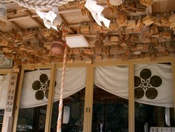 菅原天神梅の木さん