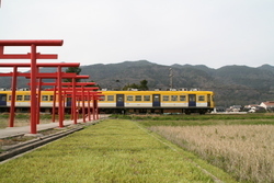 赤い鳥居と一畑電車