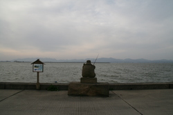 宍道湖の亀とたぬき