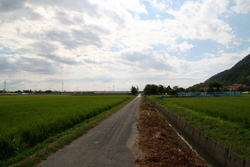 大社　遥堪地区の田園風景③