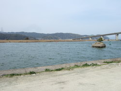 中海大橋を見る景色