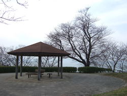 造山公園②