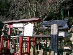 菅原天神梅の木さん