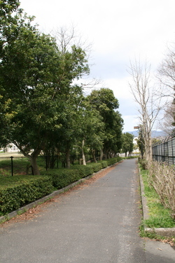 浜乃木７丁目の風景②