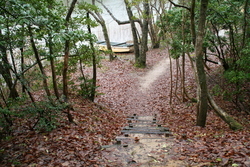 荒神谷遺跡公園のため池②