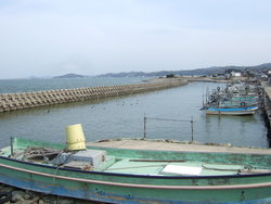 白鳥海岸②　船着場