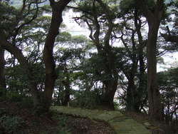 神社　（美保関）